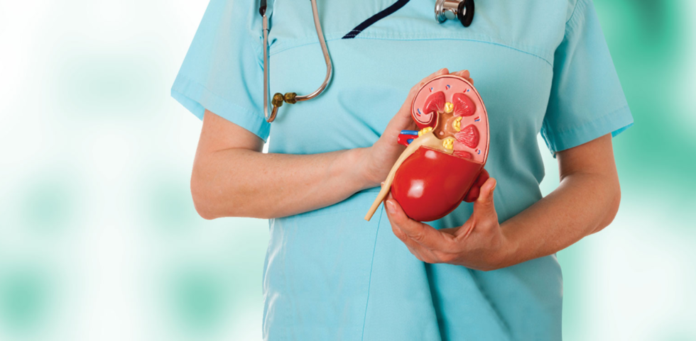 Genito Urinary Surgery Baliram Hospital