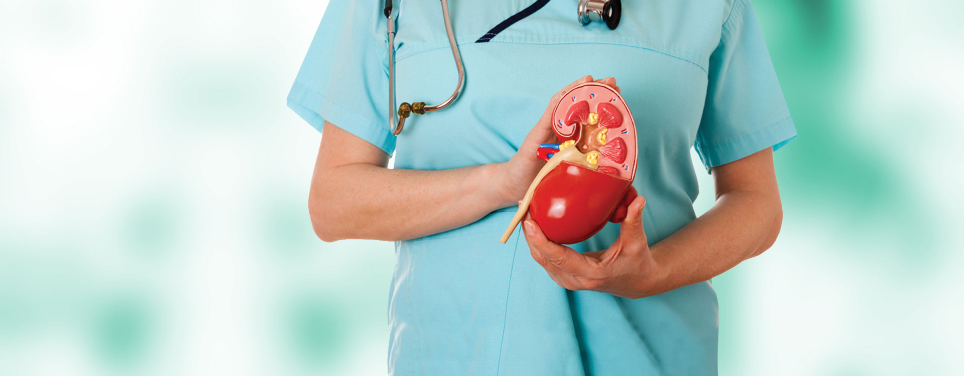 Genito Urinary Surgery Baliram Hospital